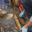 Environmental Cleanup